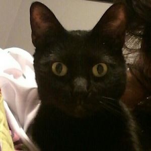 Meet your Posher, Leslie